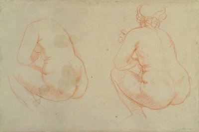 Estudios de desnudos femeninos de Peter Paul Rubens